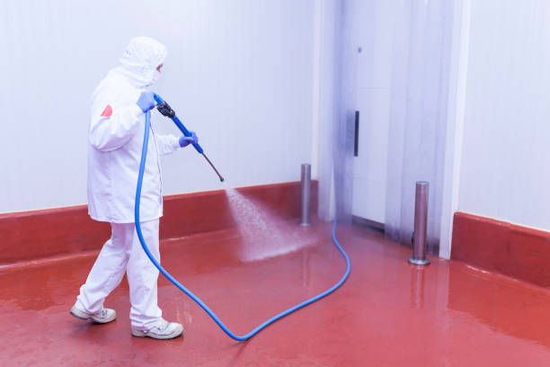 Best Sign and Awning Cleaning  in Borden, IN