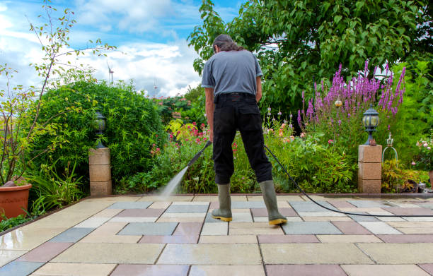 Best Pool Deck Cleaning  in Borden, IN