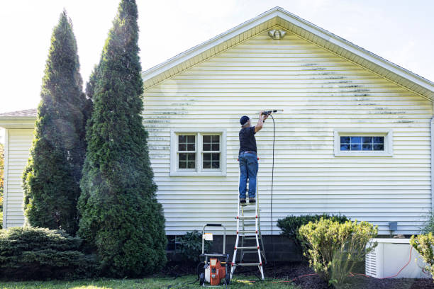 Best Fence Cleaning  in Borden, IN